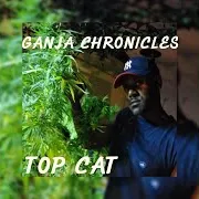 Top Cat